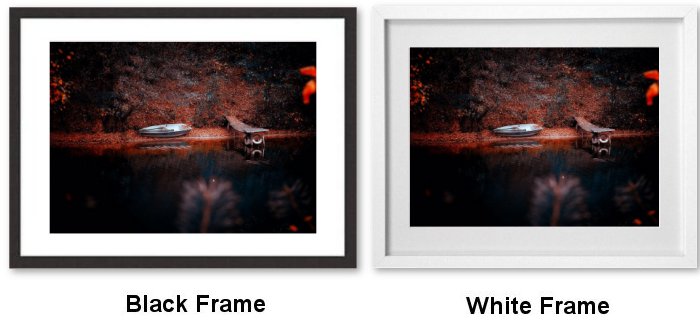 Select Your Frame